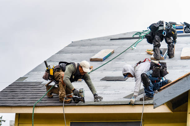 Professional Roofing technician working in Motley, MN